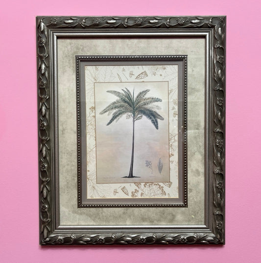 Beryl | Vintage Framed Royal Palm Botanical Print